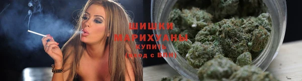 2c-b Алзамай